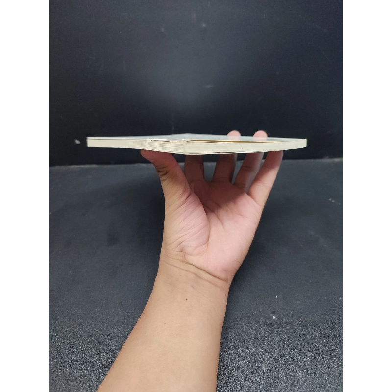 Những Ngọn Lửa mới 80% ố nhẹ 2015 HCM1406 Nguyễn Bích Lan SÁCH VĂN HỌC 915605