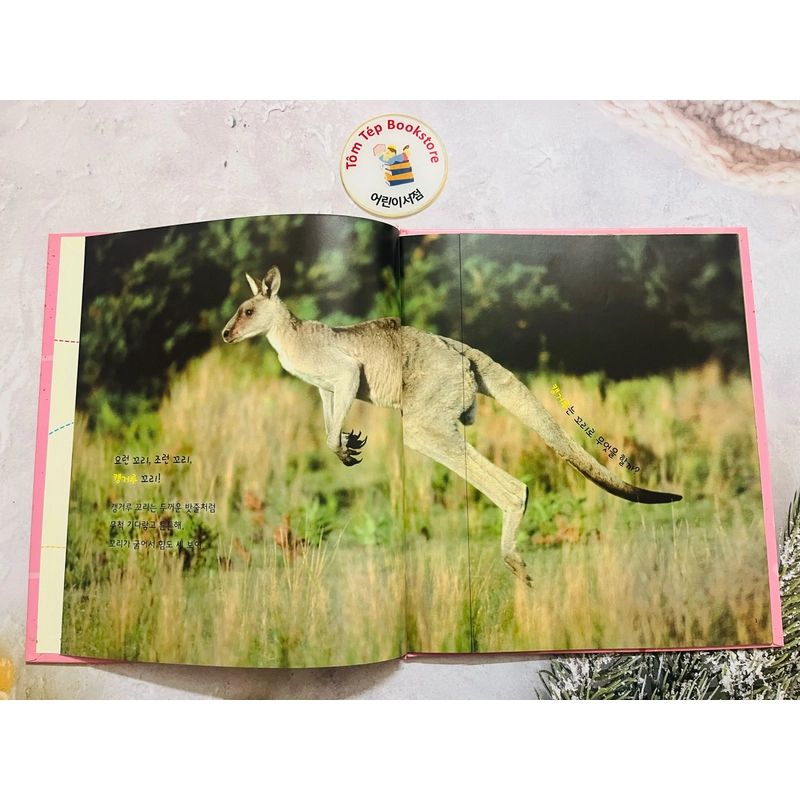 𝐒𝐞́𝐭 𝐬𝐚́𝐜𝐡 𝐪𝐮𝐚𝐧 𝐬𝐚́𝐭 𝐭𝐮̛̣ 𝐧𝐡𝐢𝐞̂𝐧 tiếng Hàn  푸른달 자연관찰(trọn bộ) 496923
