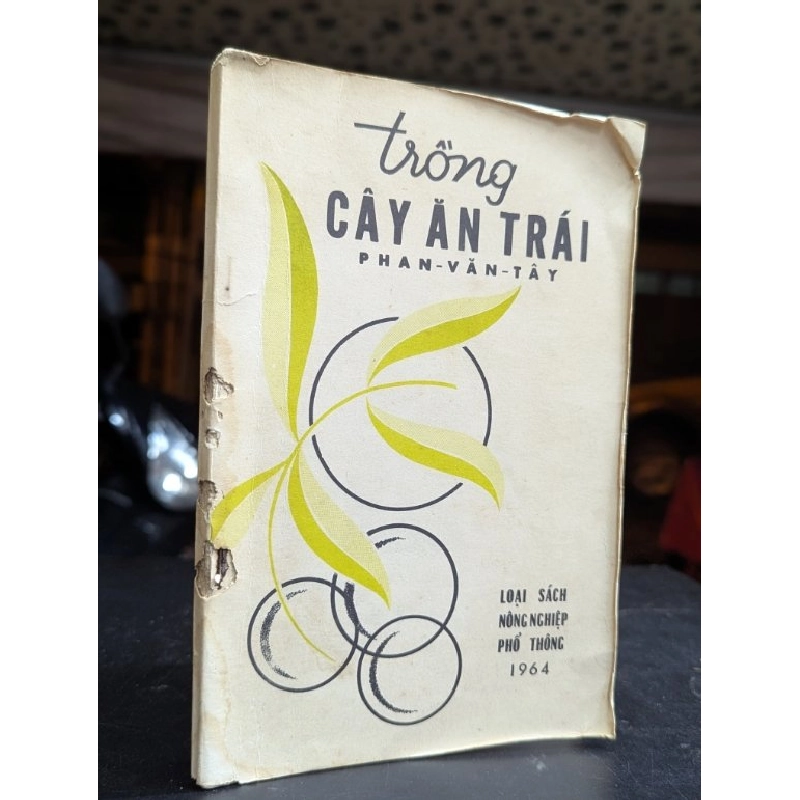 Trồng cây ăn trái - Phan Văn Tây 465299