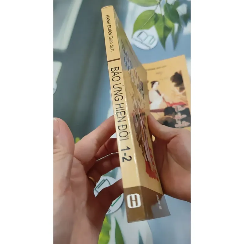 Báo Ứng Hiện Đời 1-2-3 - Hạnh Đoan 776122