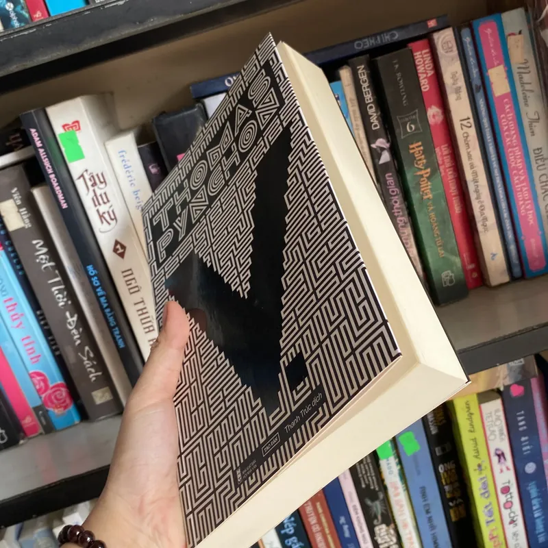 THOMAS PYNCHON V Tao Đàn  734382