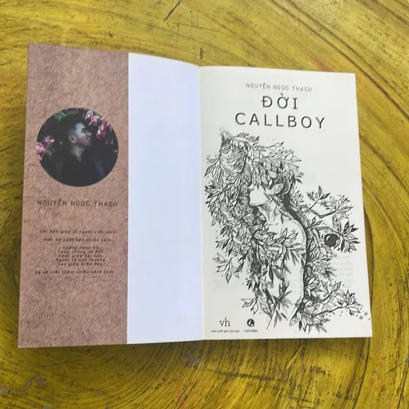 ĐỜI CALLBOY- NGUYỄN NGỌC THẠCH- văn học 2016 738013
