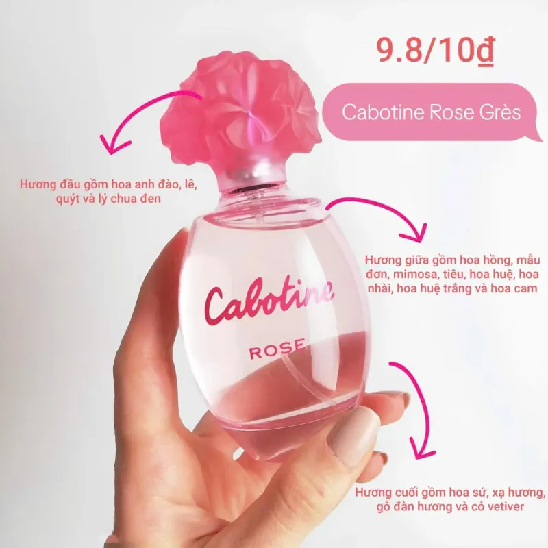 (Hàng chuẩn, mới 100%) Nước hoa Pháp Cabotine Rose 100 ml nữ tính, sang trọng, gợi cảm 1009881