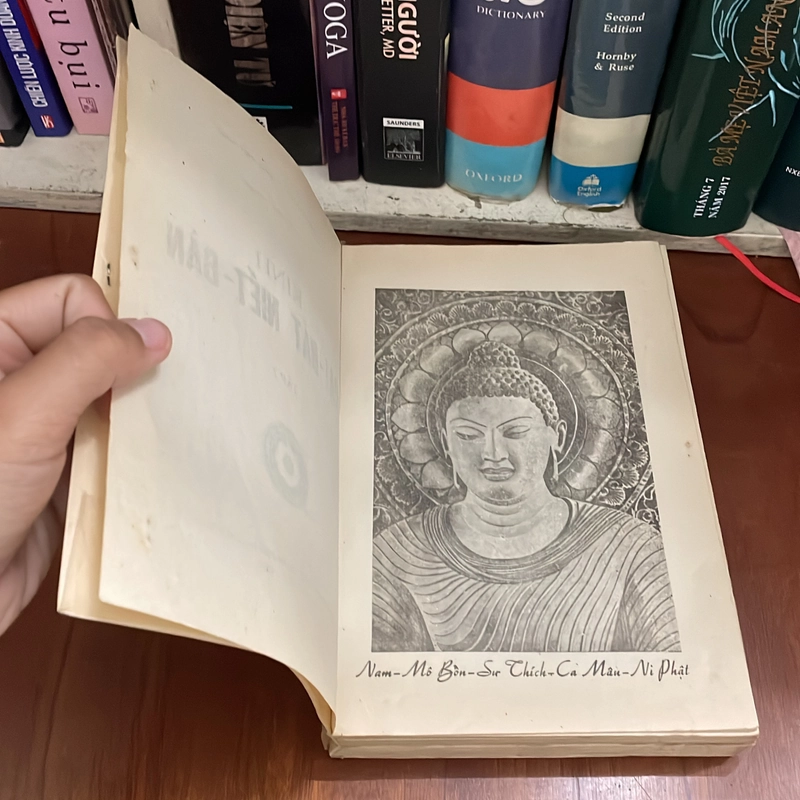 II Sách Phật Giáo: Kinh Đại Bát Niết Bàn (Tập 2) - HT. Thích Trí Tịnh (Dịch Giả) - 1991 539070