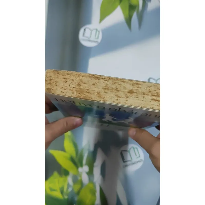 Ngồi Khóc Trên Cây - Nguyễn Nhật Ánh 798458