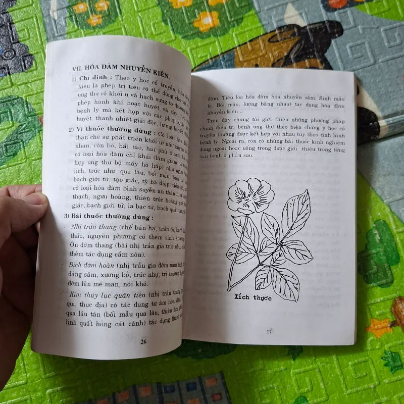 Đông Y Trị Ung Thư: Những Bài Thuốc Đông Y Cho Mọi Nhà 1027665