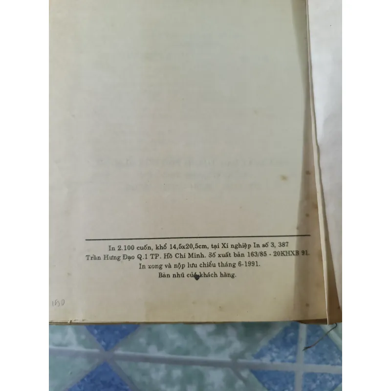 Việt Nam tân từ điển - Thanh Nghị 712530