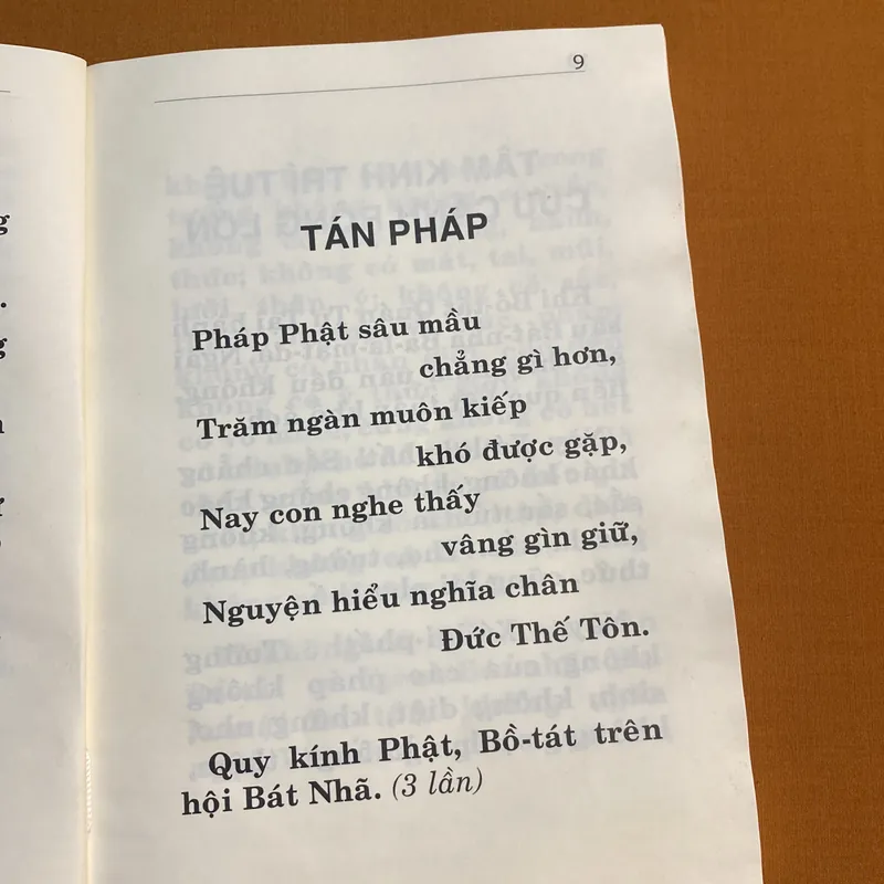 Kinh Địa Tạng Bồ Tát Bổn Nguyện - Thích Trúc Thạnh Hòa Việt dịch 605263