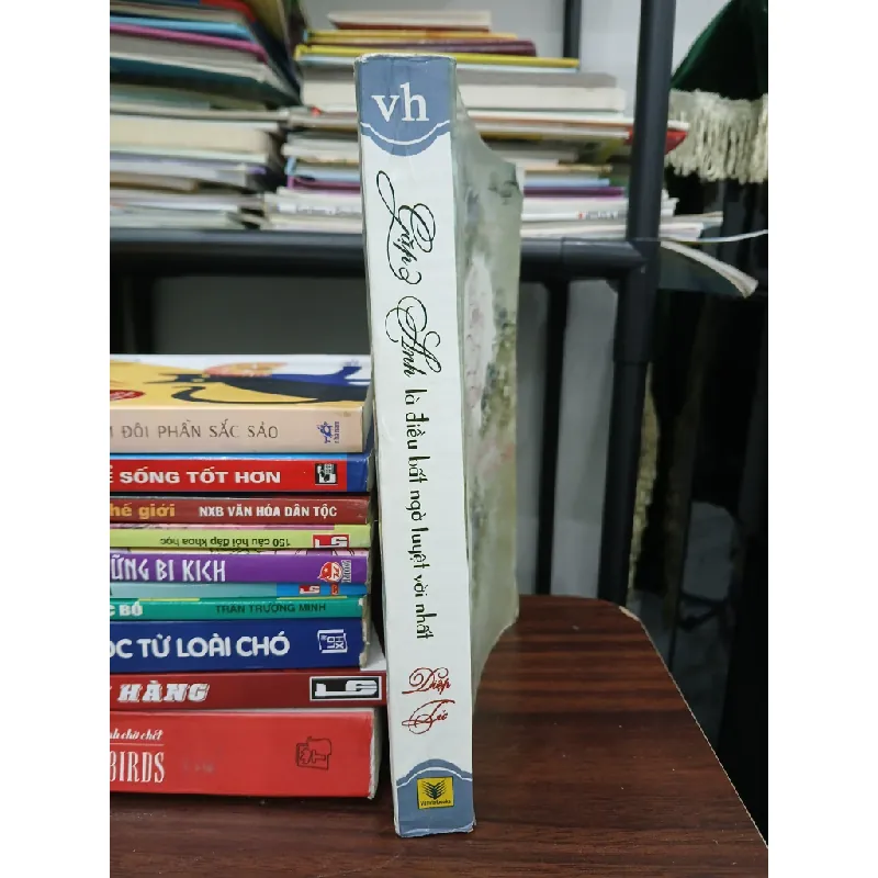 Gặp anh là điều bất ngờ tuyệt vời nhất – Diệp Tử 576120