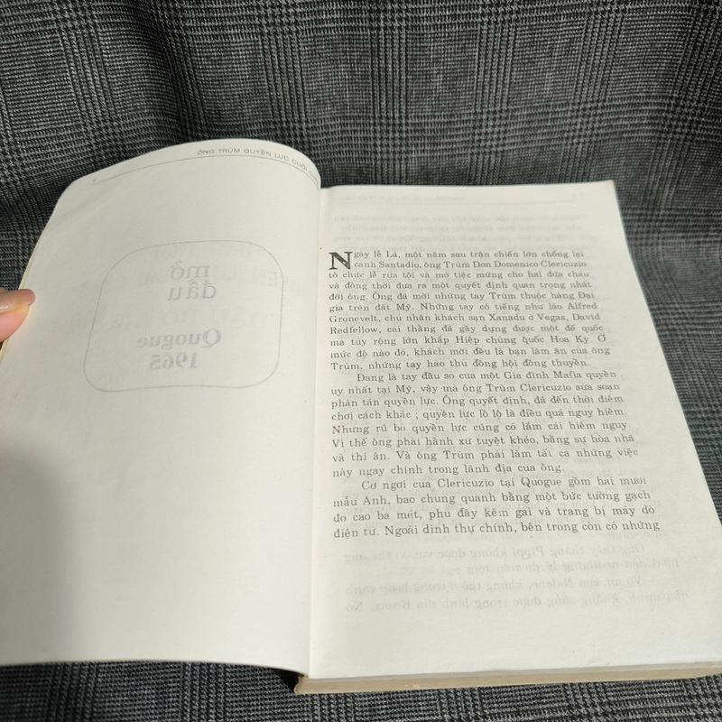 Ông trùm quyền lực cuối cùng (Hậu Bố Già) - Mario Puzo 543692