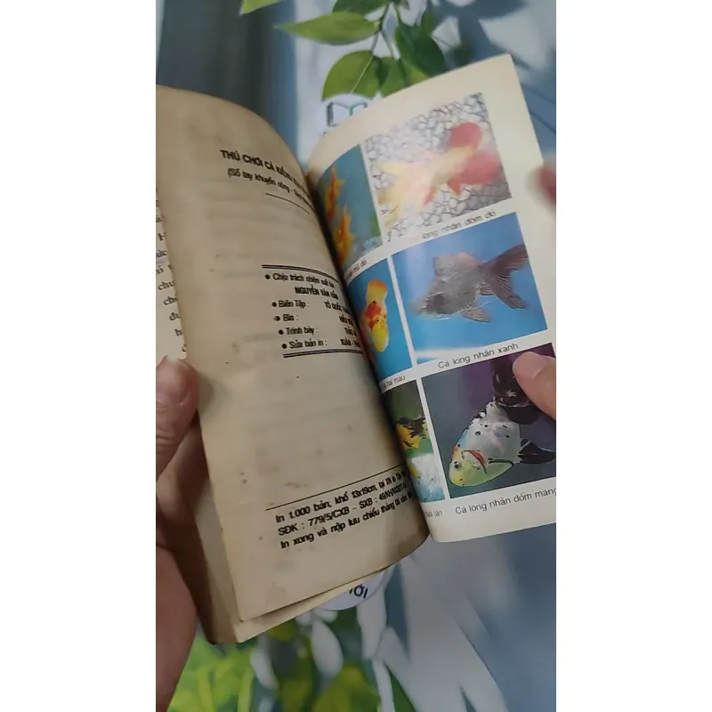 [XƯA] Thú Chơi Cá Kiểng Xưa Và Nay (1996) - Việt Chương 775981