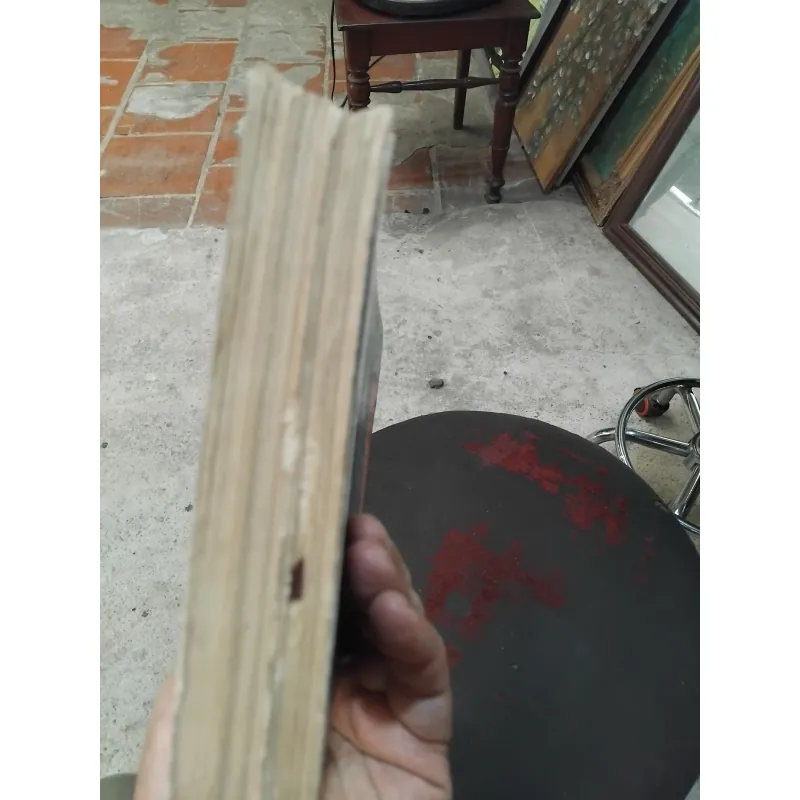 Bí ẩn của tướng thuật  1023933