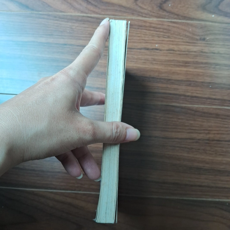 Cô gái và hoa cẩm chướng 505784