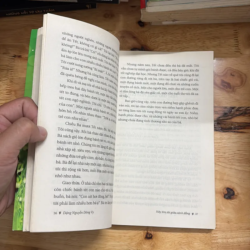 II Tản Văn Và Truyện Ngắn: Hãy Tìm Tôi Giữa Cánh Đồng - Đặng Nguyễn Đông Vy - 2012 698021