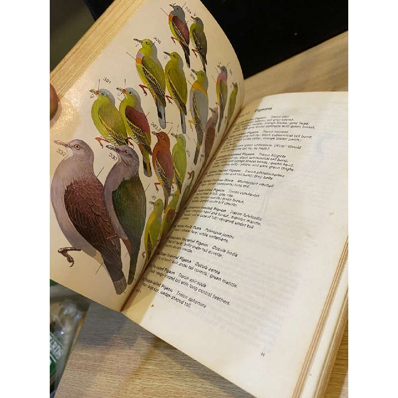 A Field Guide to the Birds of South-East Asia 533827
