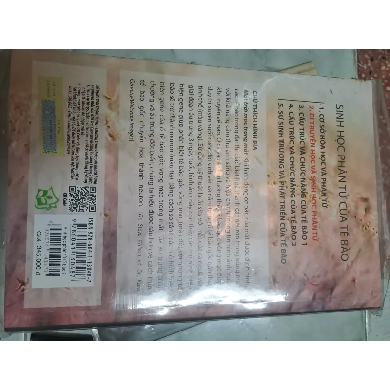 Sách Sinh Học phân tử của tế bào tập 2 - Nhiều Dịch Giả, Bìa Mềm, Ống Đứng 696912