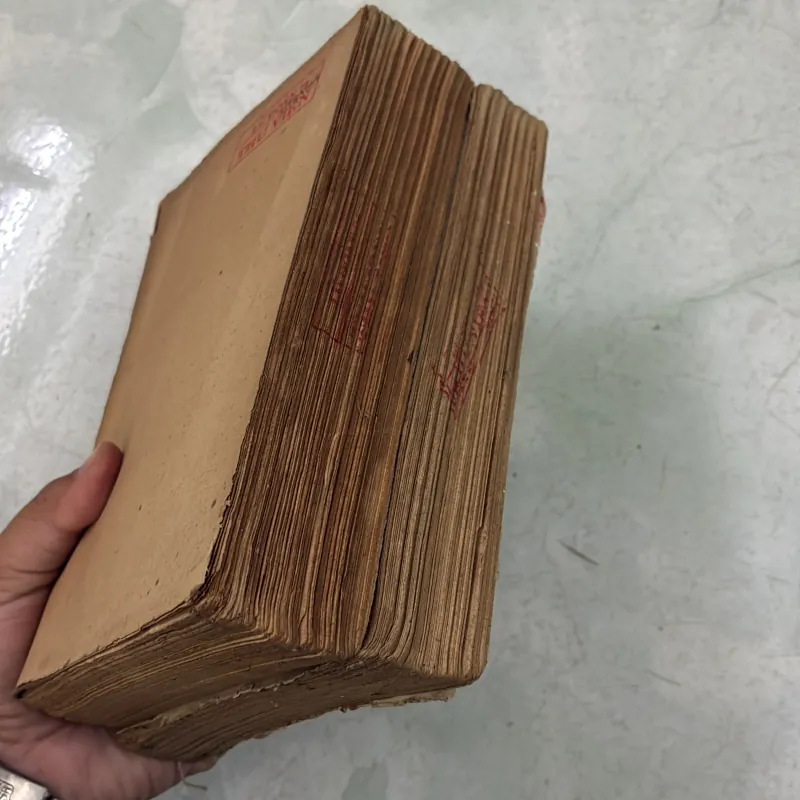 Aivanho (Bộ 2 tập) 1031031