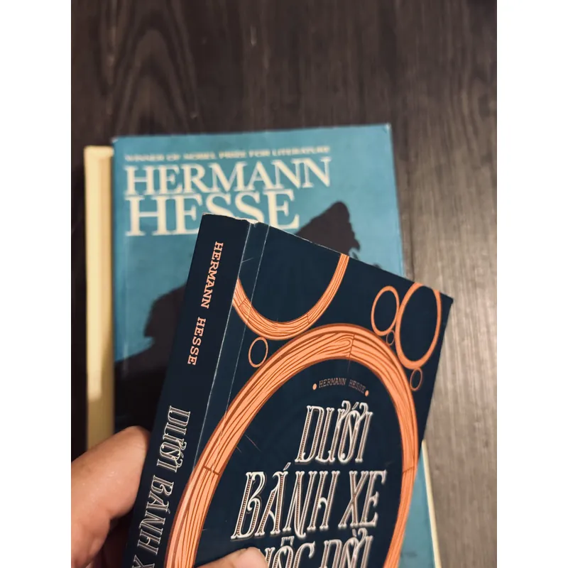 Combo 4 tác phẩm Hermann Hesse (đọc mô tả) 593570