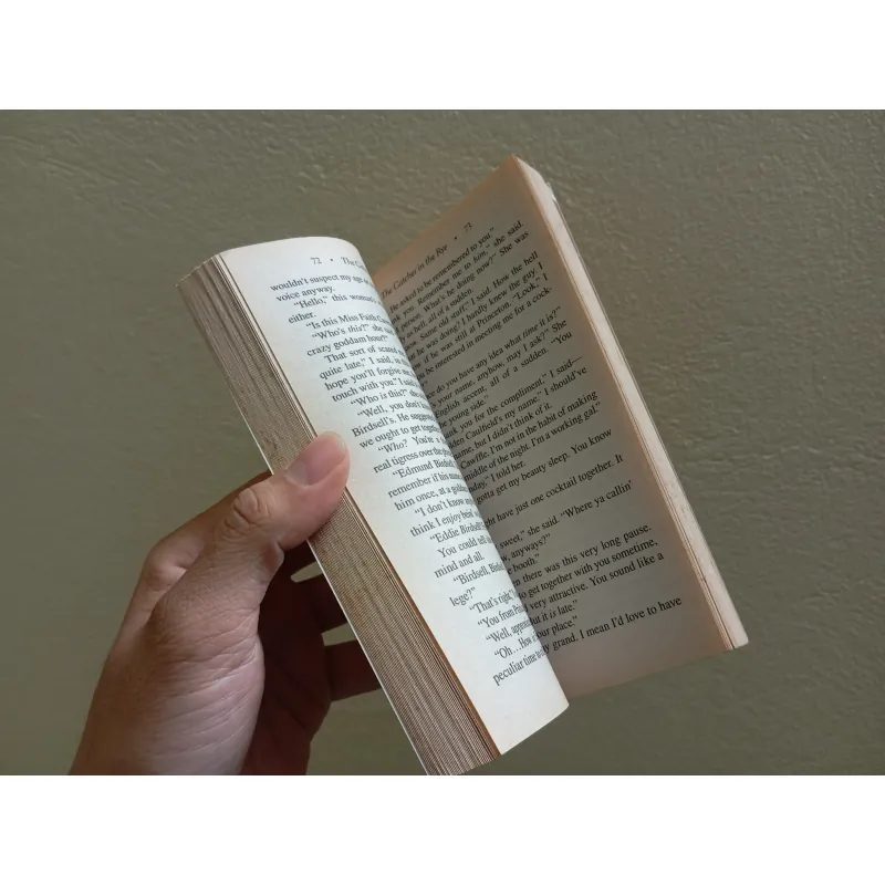 The catcher in the rye  763554