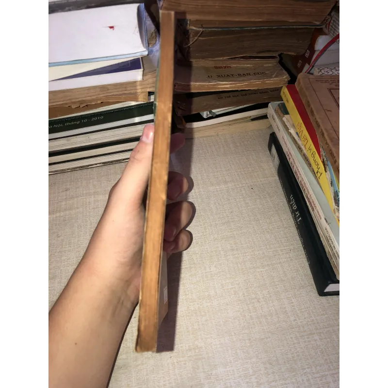 Tâm Lý Dân Tộc Tính Cách Và Bản Sắc-Phạm Bích Hợp 971695