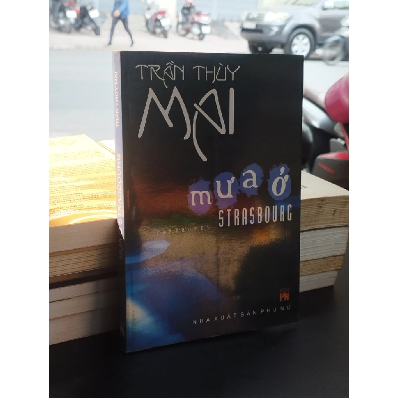 Mưa ở Strasbourg - Trần Thuỳ Mai 354684