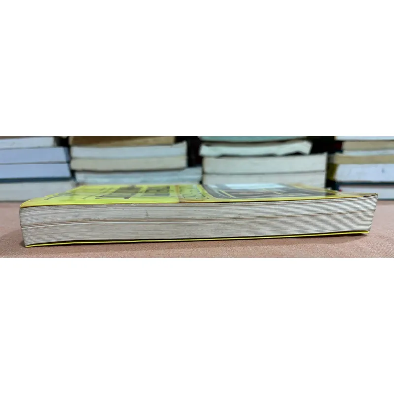 Triệu phú khu ổ chuột 🌊 599638