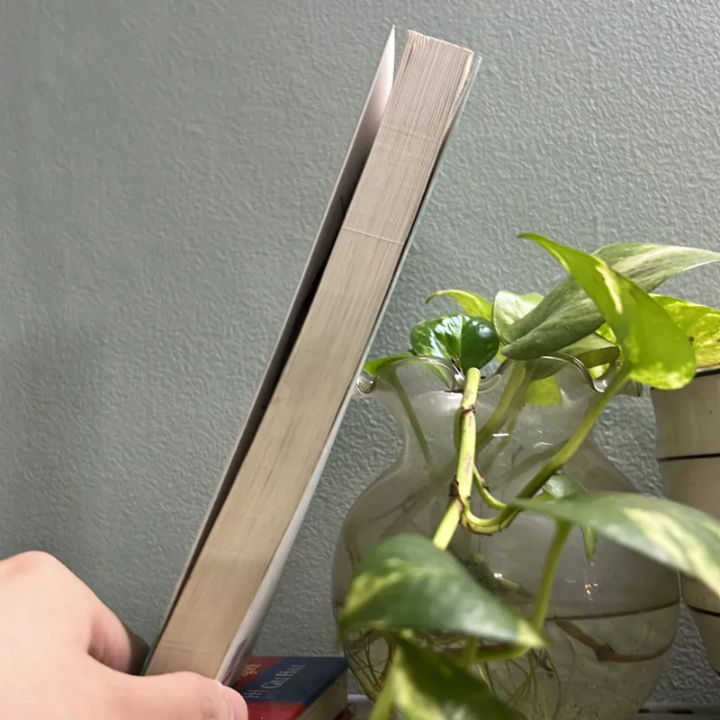 Chờ em lớn nhé được không ? 787620