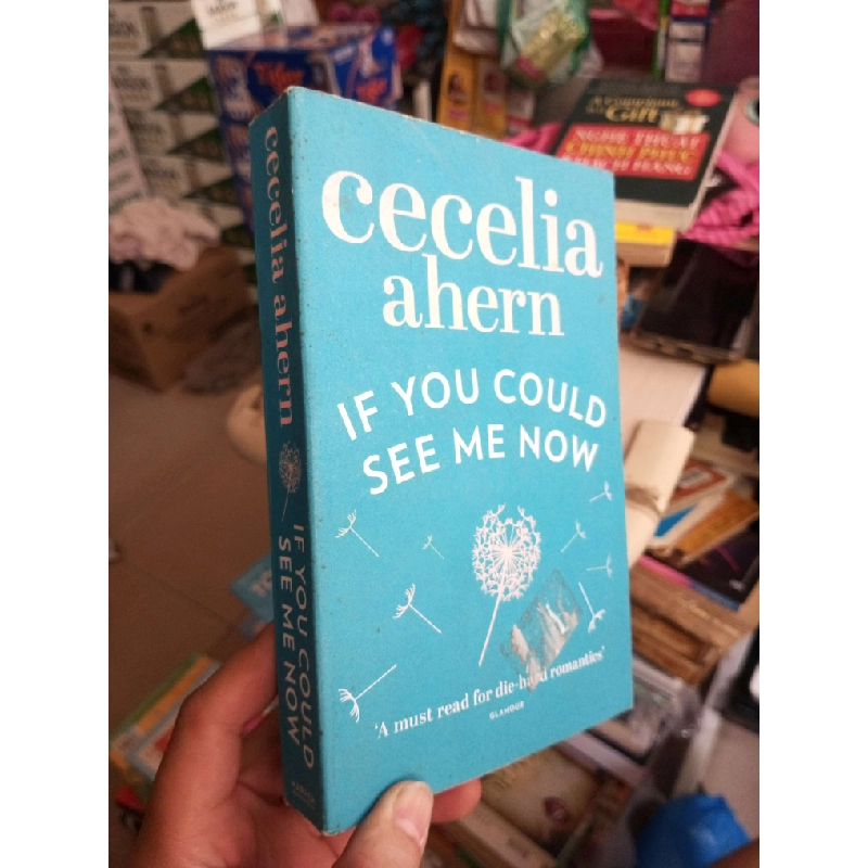 If You Could See Me Now - Cecelia Ahern mới 80% ố Sách ngoại HCM1004 1007557