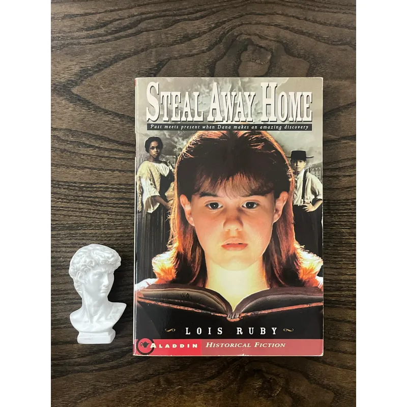 Steal Away Home 972836