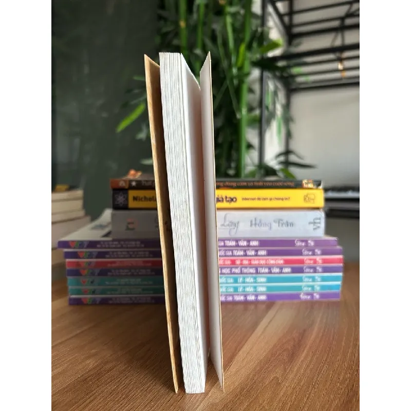 Có con chim lạ trong thành phố - Tiến Đạt 573273