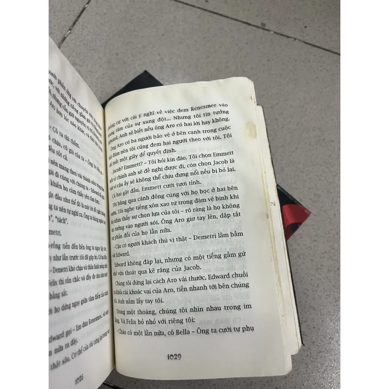 CHẠNG VẠNG, NHẬT THỰC, TRĂNG NON, HỪNG ĐÔNG - TỊNH THUỶ 756120