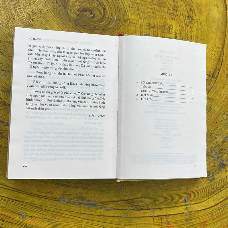 VŨ HẠNH- ĐỌC LẠI TRUYỆN KIỀU- BÚT MÁU- LỬA RỪNG- TÁC PHẨM  ĐƯỢC GIẢI THƯỞNG NHÀ NƯỚC 578085