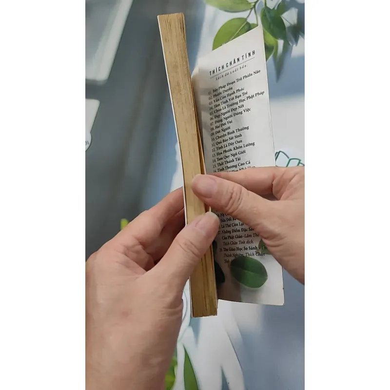 Chuyện Bình Thường - Thích Chân Tính 776106