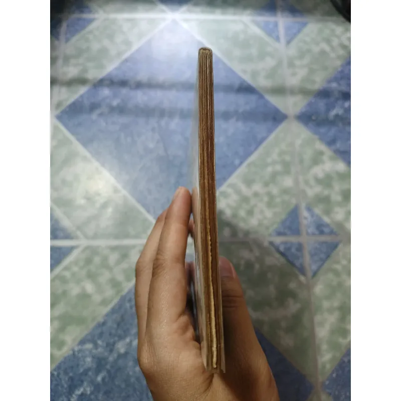 Mầu tím hoa sim thơ - Hữu Loan 975099