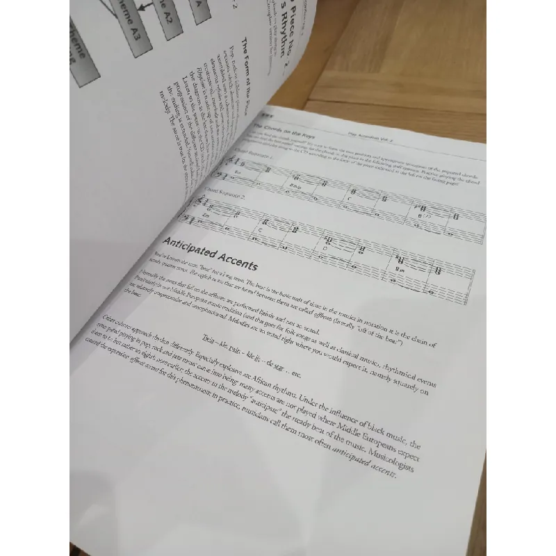 Play accordion - Peter Michael Haas 567874