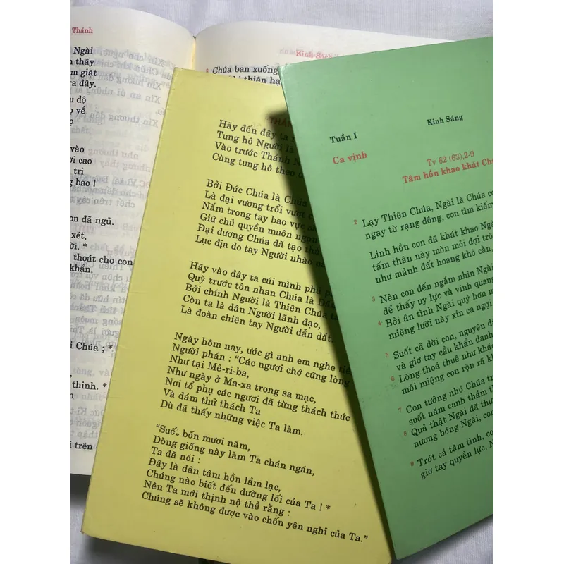 Các giờ kinh Phụng vụ - 2010 732455