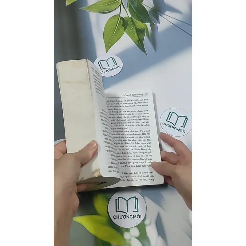 Con rể tỉnh trưởng - Phương Vỹ 695009