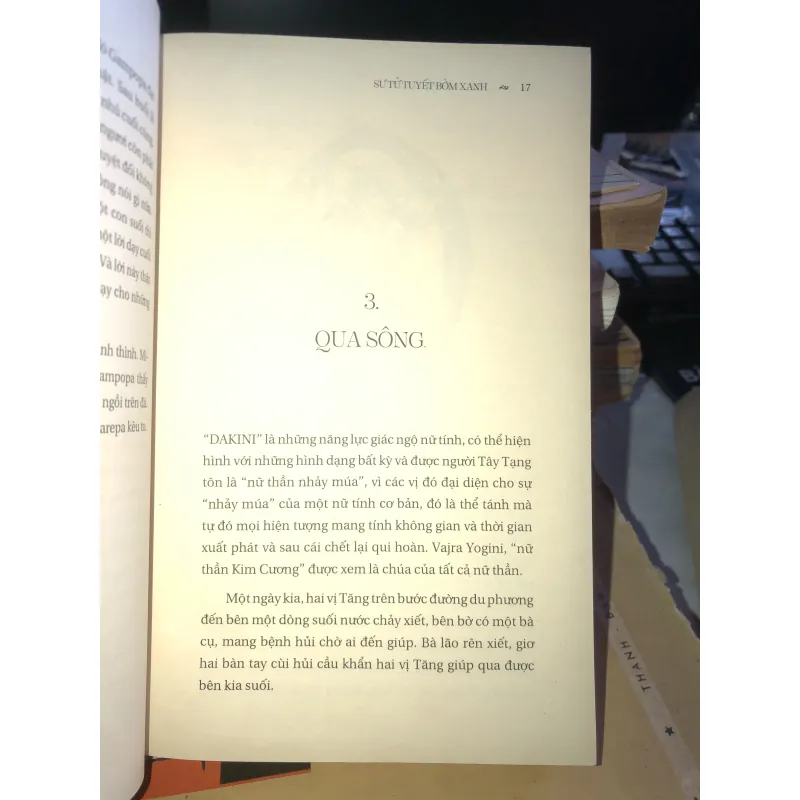 Sư tử tuyết bờm xanh - Surya Das 1021747