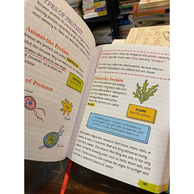 Everything You Need to Ace: Biology 1017909