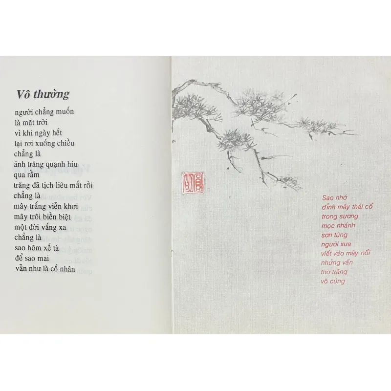 Thân Thị Ngọc Quế - Combo thơ 1027525