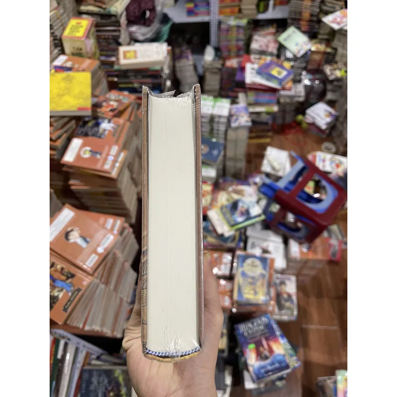 Việt Nam Sử Lược bản đặc biệt - Trần Trọng Kim (6) 758187