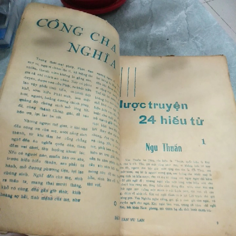ĐẶC SAN VU LAN  272524