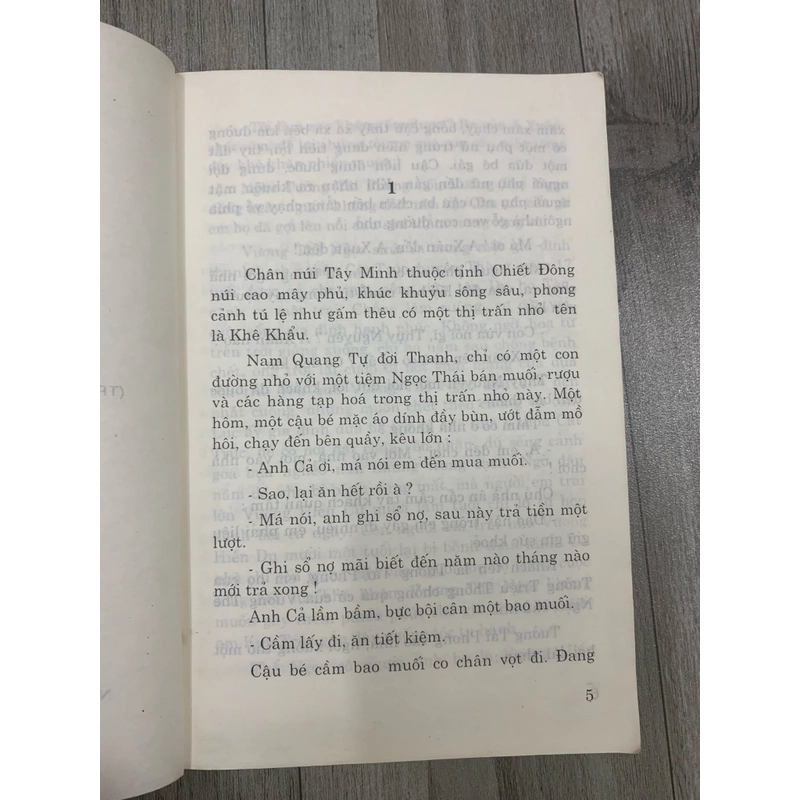 Gia đình họ tưởng, truyện tình của tưởng giới thạch. 3a4 552795