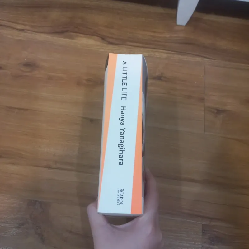 A Little Life 957201