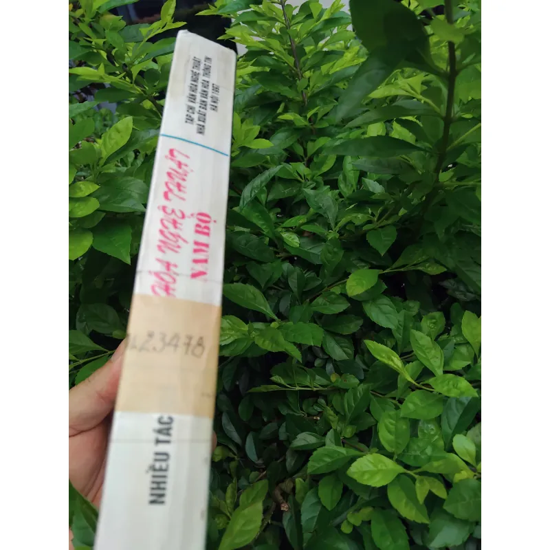 Văn hóa nghệ thuật Nam Bộ  995544