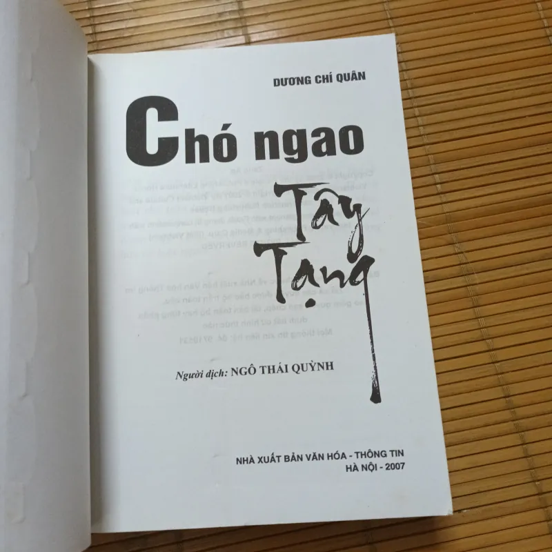 Chó Ngao Tây Tạng - Vương Chí Quân 755792