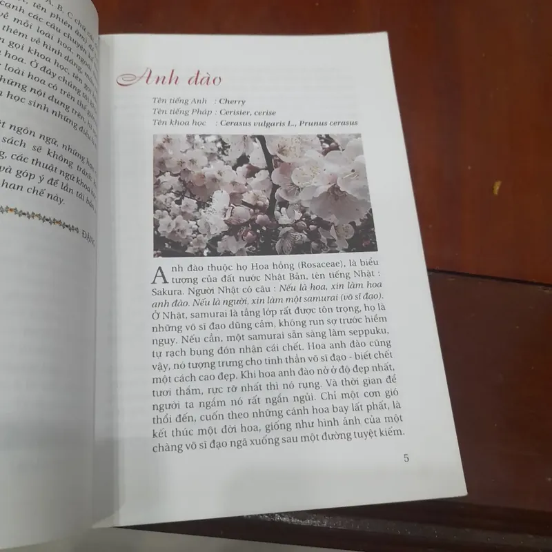 TRUYỆN KỂ VỀ CÁC LOÀI HOA 733863