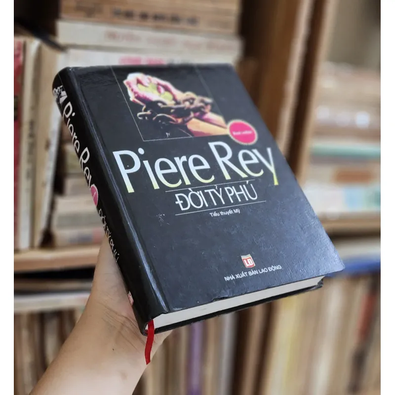 Tiểu thuyết ĐỜI TỶ PHÚ - Tác giả: Pierre Rey 704354