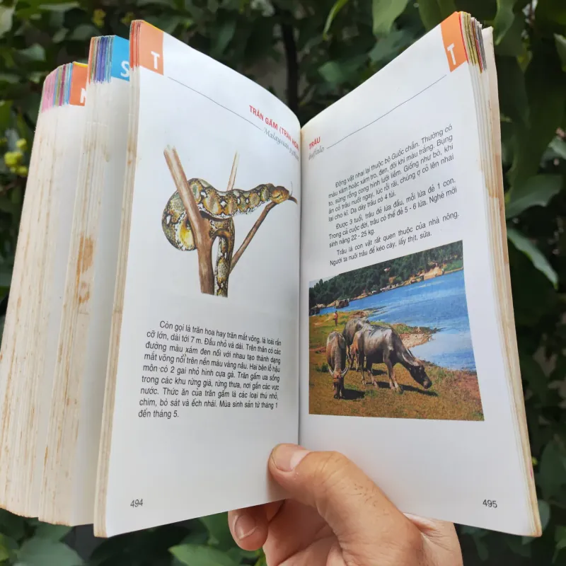 Từ Điển Tranh Về Các Con Vật - Lê Quang Long 753786