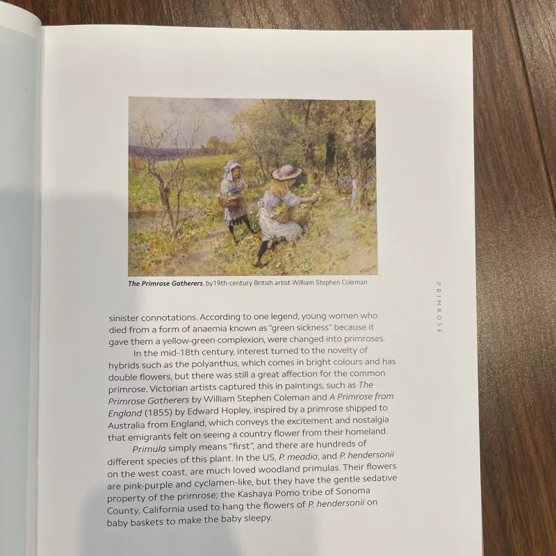 The Secret language of Flowers 998486